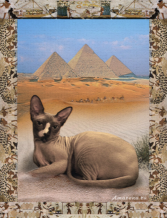 Египетская кошка. Коллаж